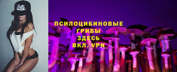 эйфоретик Арсеньев