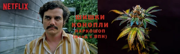 эйфоретик Арсеньев