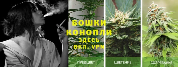не бодяженный Армянск