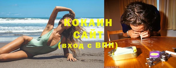 эйфоретик Арсеньев