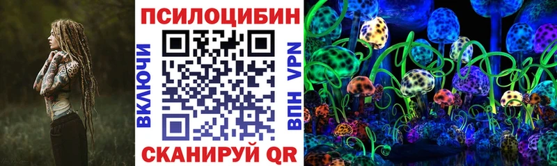 Псилоцибиновые грибы мицелий  купить закладку  Фролово 